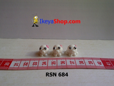 rsn 684  large2
